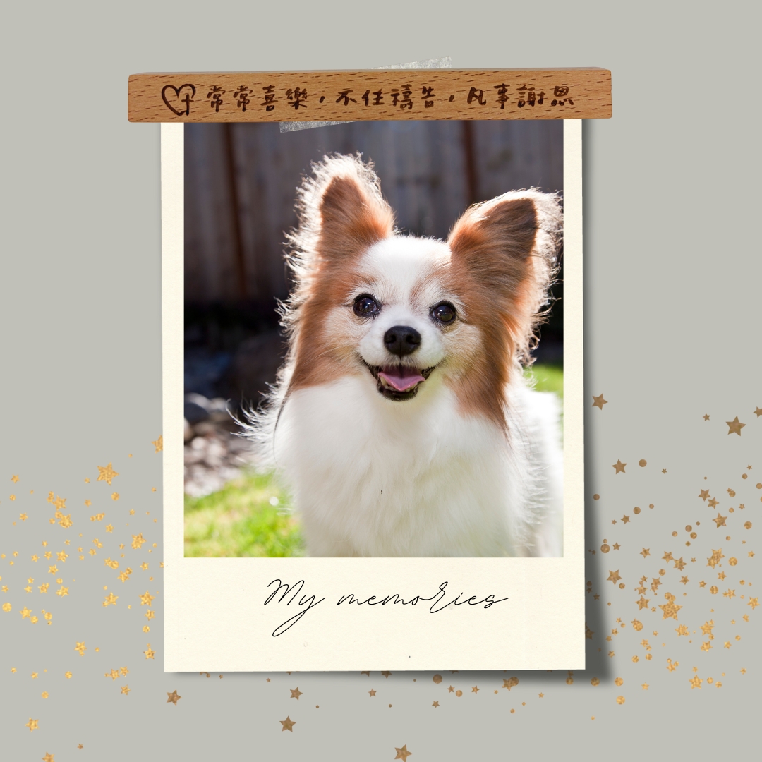 常常喜樂/原木雷雕磁鐵