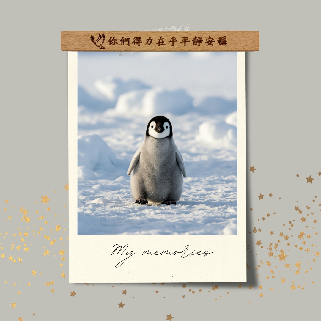 平靜安穩/原木雷雕磁鐵