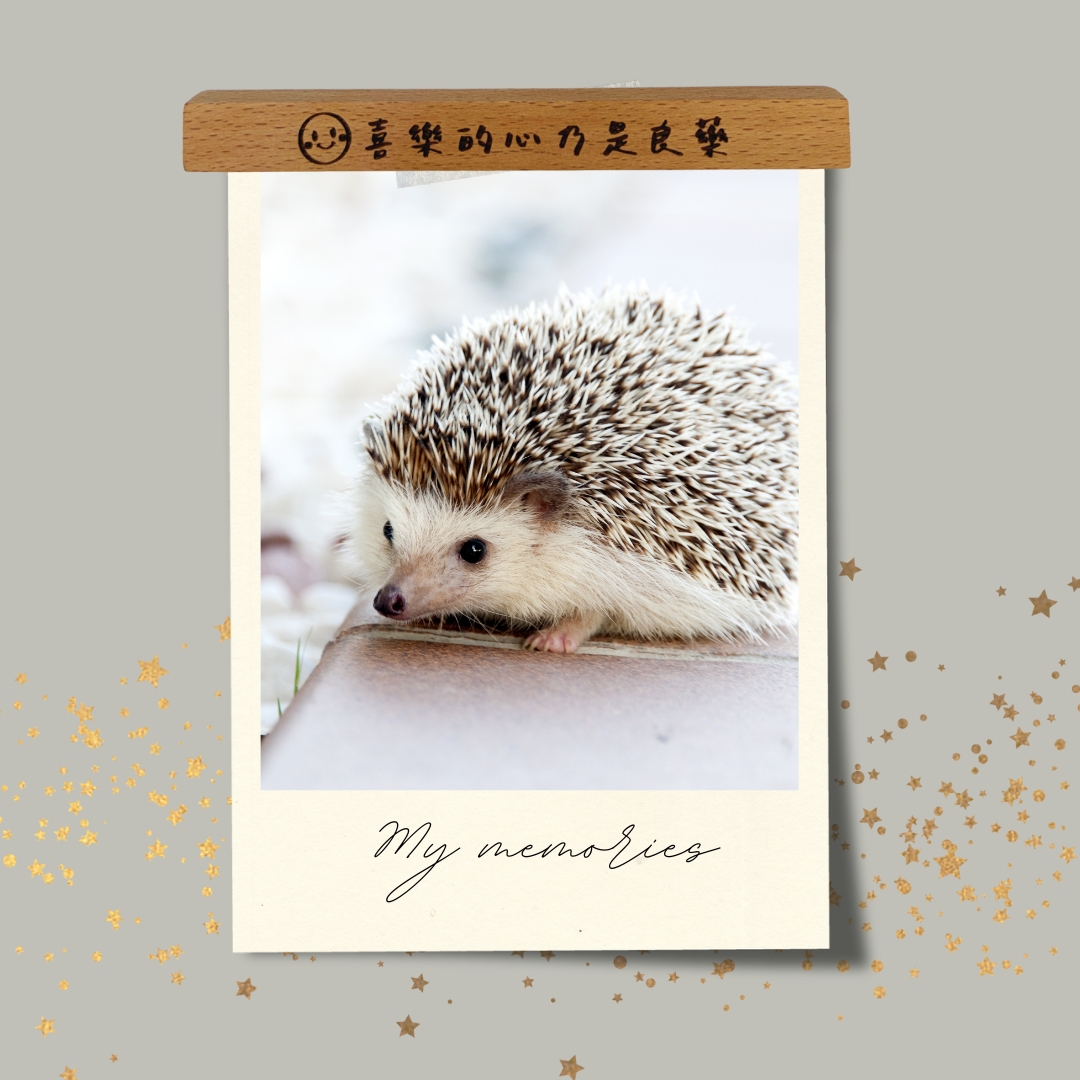 喜樂的心/原木雷雕磁鐵